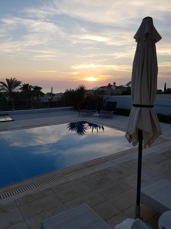 Villa Verdi: Luxury Villa With Private Pool Pegeia Eksteriør billede
